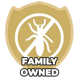 Ant