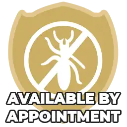 Ant